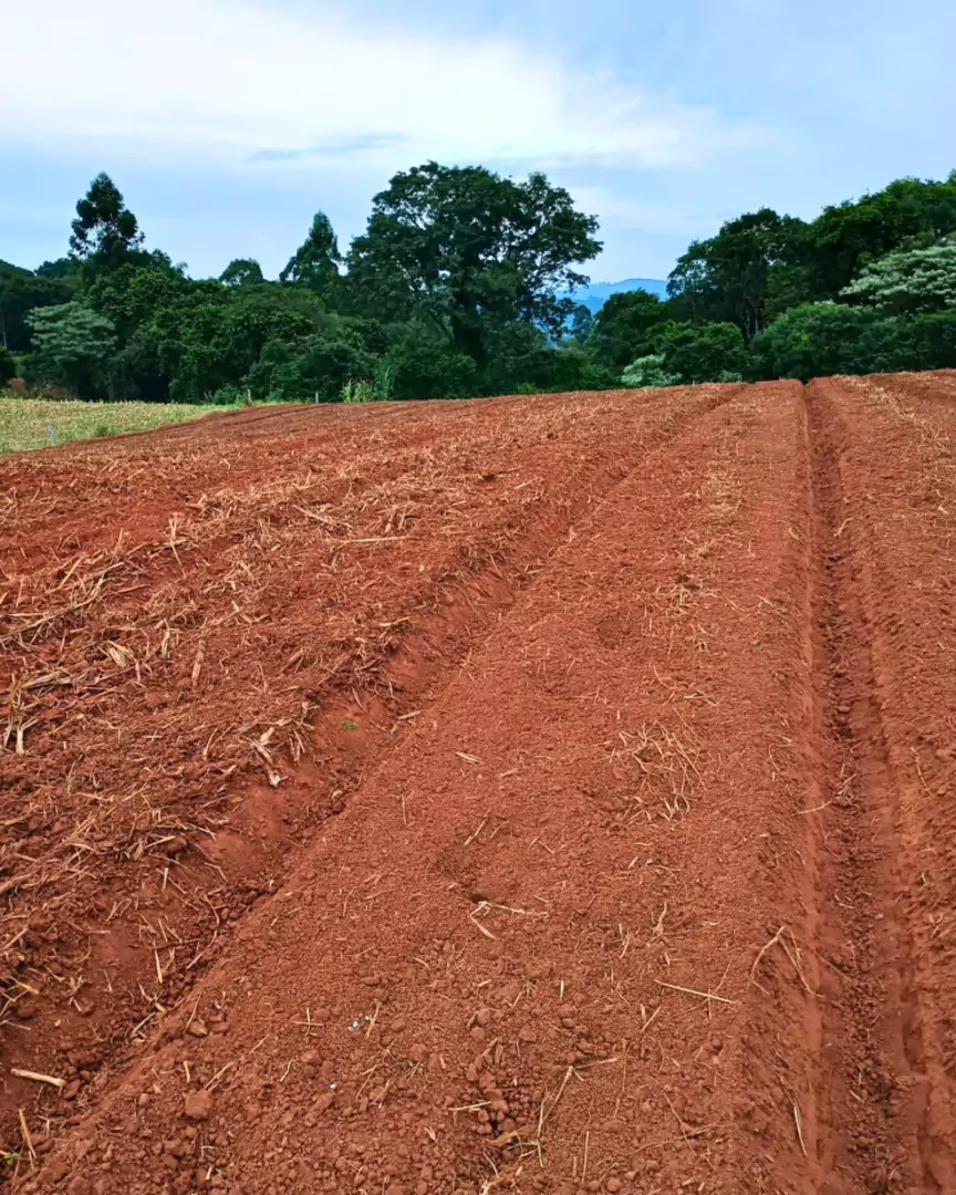 Venda - área de terras